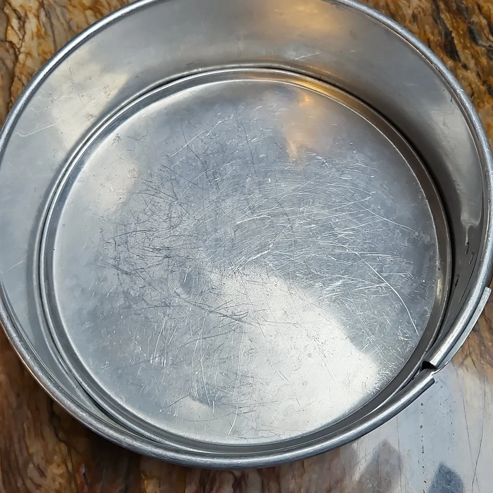 Silver Metal Spring Pan